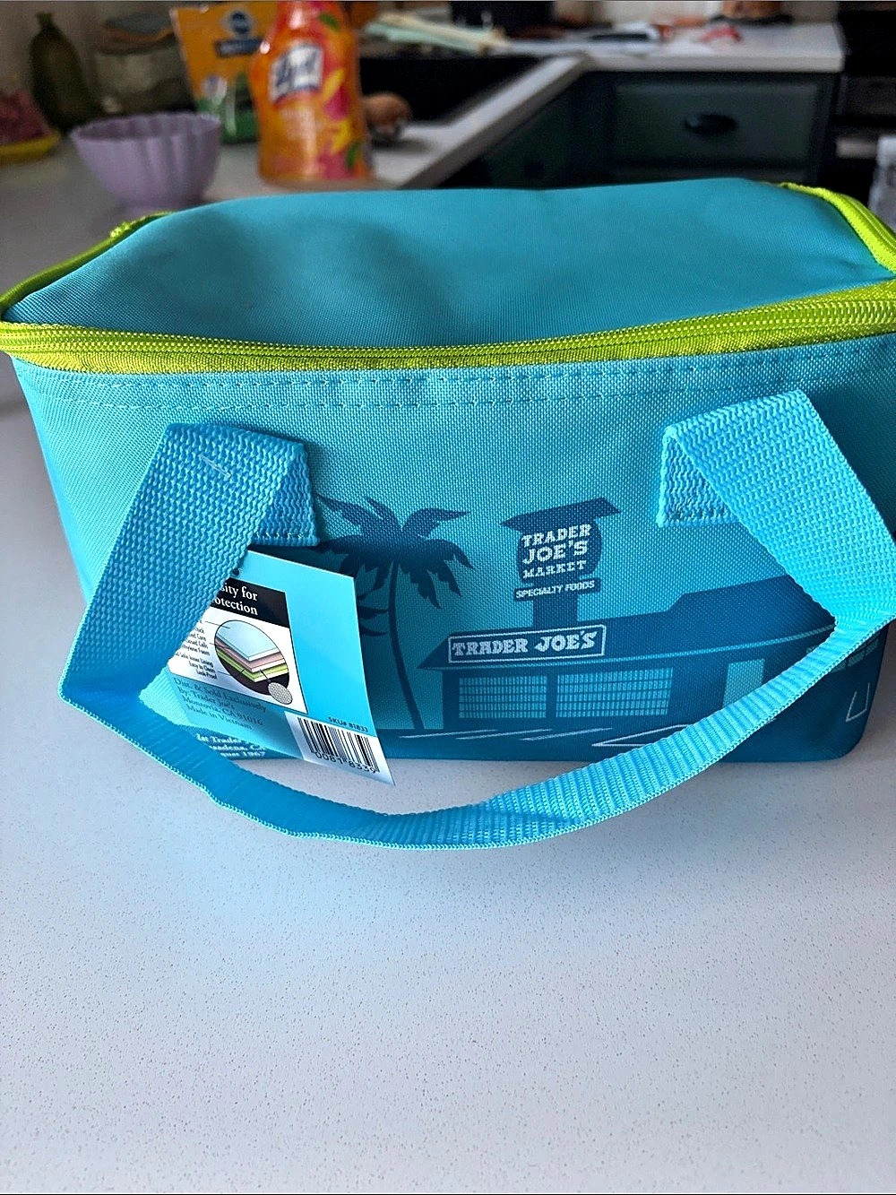 Trader Joe's Mini Insulated Bag Blue & Green NWT